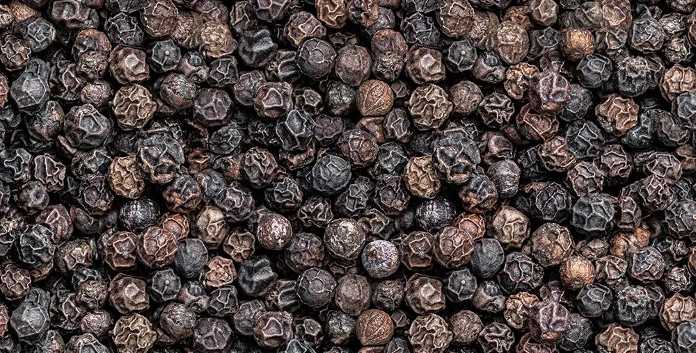 Organic farms avoid toxic inputs, improve soil health, grow clean, sustainable food that supports nature.