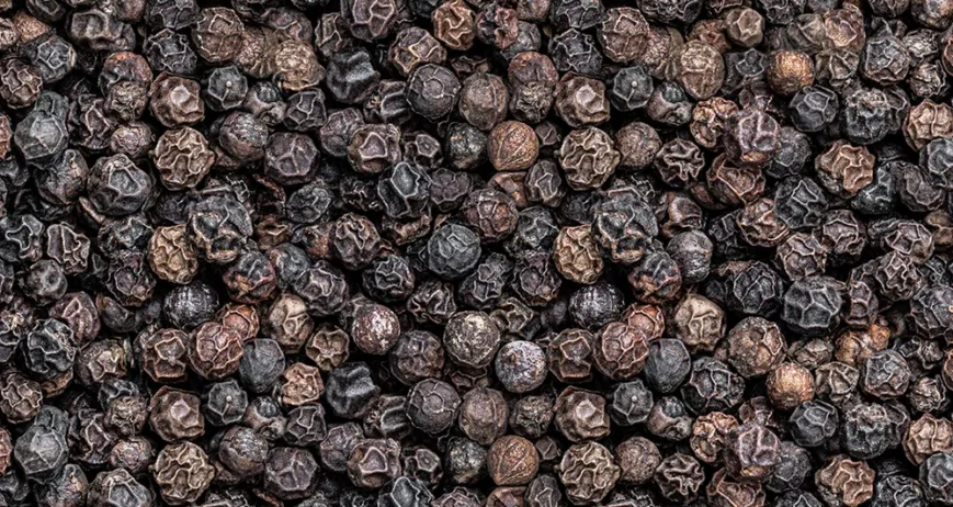 Organic farms avoid toxic inputs, improve soil health, grow clean, sustainable food that supports nature.