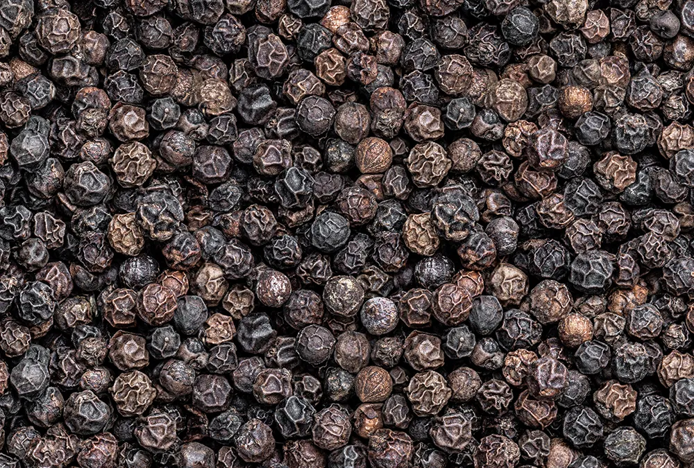 Organic farms avoid toxic inputs, improve soil health, grow clean, sustainable food that supports nature.