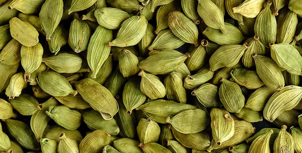 Organic farms avoid toxic inputs, improve soil health, grow clean, sustainable food that supports nature.