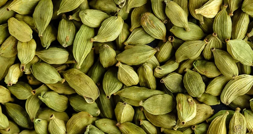 Organic farms avoid toxic inputs, improve soil health, grow clean, sustainable food that supports nature.