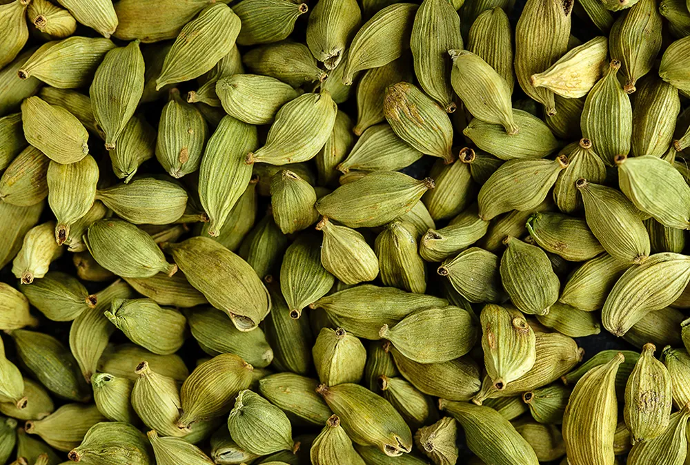 Organic farms avoid toxic inputs, improve soil health, grow clean, sustainable food that supports nature.