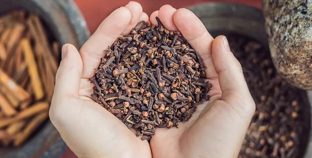 Organic farms avoid toxic inputs, improve soil health, grow clean, sustainable food that supports nature.