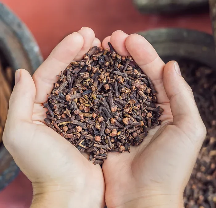 Organic farms avoid toxic inputs, improve soil health, grow clean, sustainable food that supports nature.