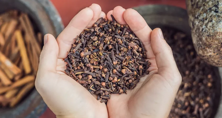 Organic farms avoid toxic inputs, improve soil health, grow clean, sustainable food that supports nature.