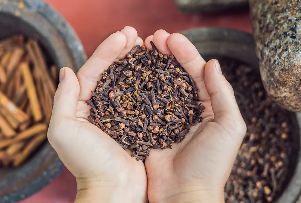 Organic farms avoid toxic inputs, improve soil health, grow clean, sustainable food that supports nature.