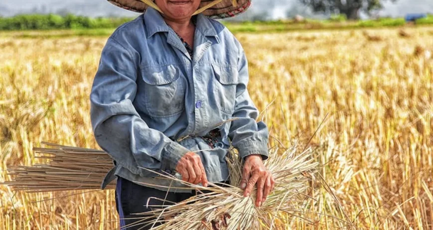 There are many variations of passages of Lorem Ipsum available, but majority have suffered teration in some form, by injected humour, or randomised words which don't look even slight believable. If you are going to use a passage of Lorem Ipsum.