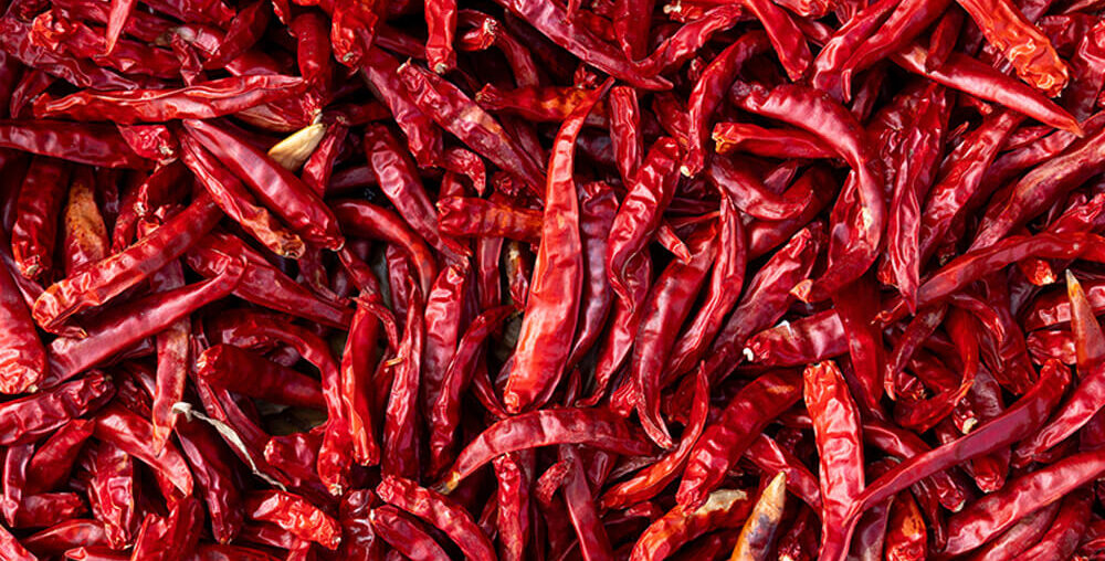 Organic farms avoid toxic inputs, improve soil health, grow clean, sustainable food that supports nature.