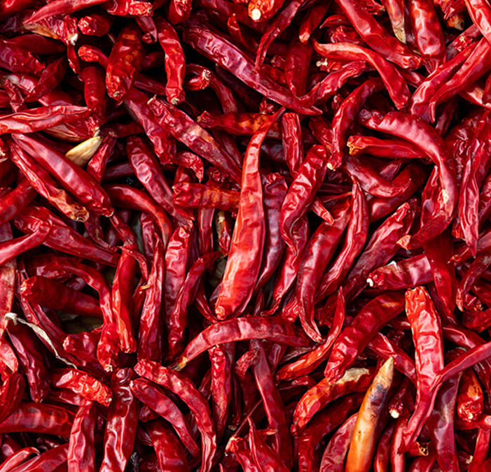 Organic farms avoid toxic inputs, improve soil health, grow clean, sustainable food that supports nature.