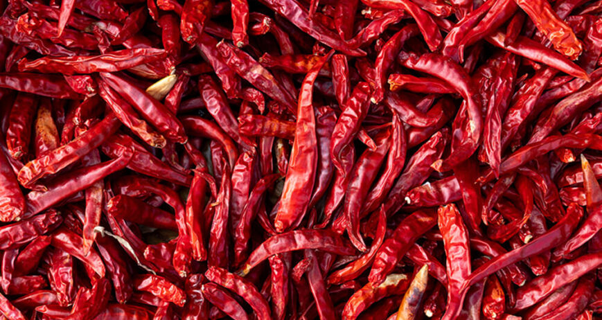 Organic farms avoid toxic inputs, improve soil health, grow clean, sustainable food that supports nature.