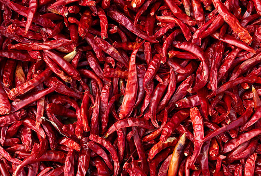 Organic farms avoid toxic inputs, improve soil health, grow clean, sustainable food that supports nature.