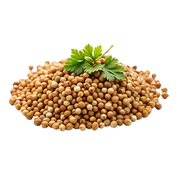Coriander