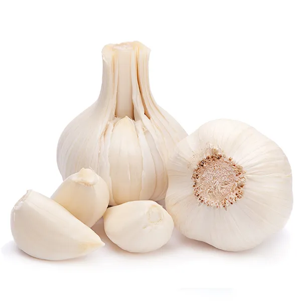 Garlic