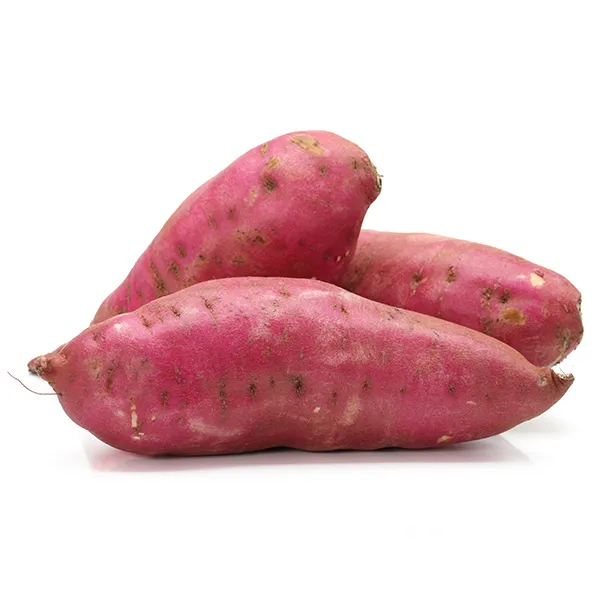 Sweet Potato