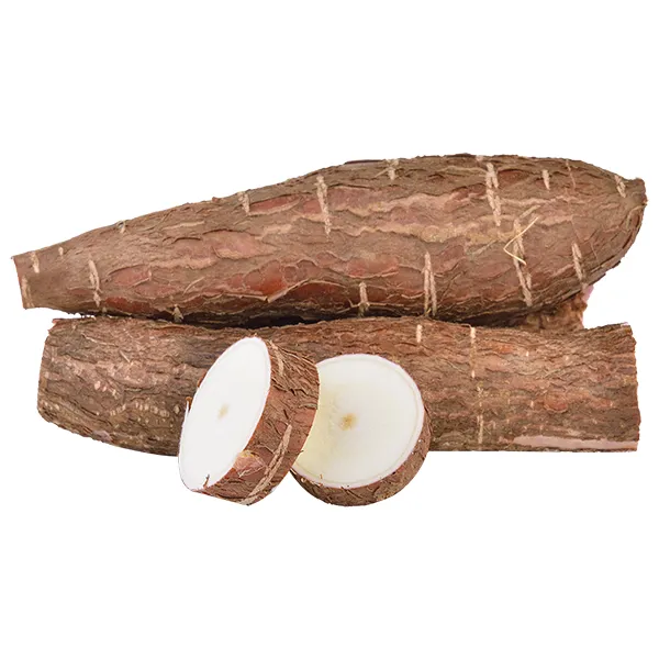 Tapioca