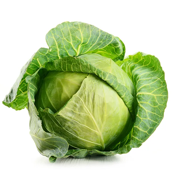 Cabbage