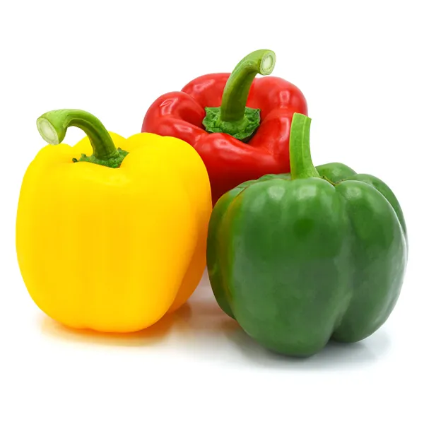 Capsicum