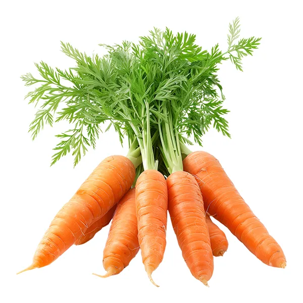Carrot