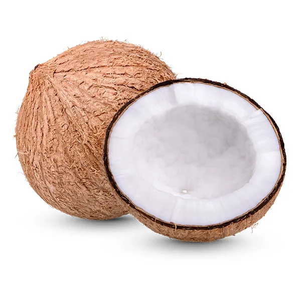 AJVAC Fresh Coconuts are sourced from premium coconut-growing regions of Kerala and carefully selected for their freshness, high water content, and superior kernel quality. Hygienically graded and packed to international export standards, our coconuts are suitable for retailers, food processors, wholesalers, and international buyers.