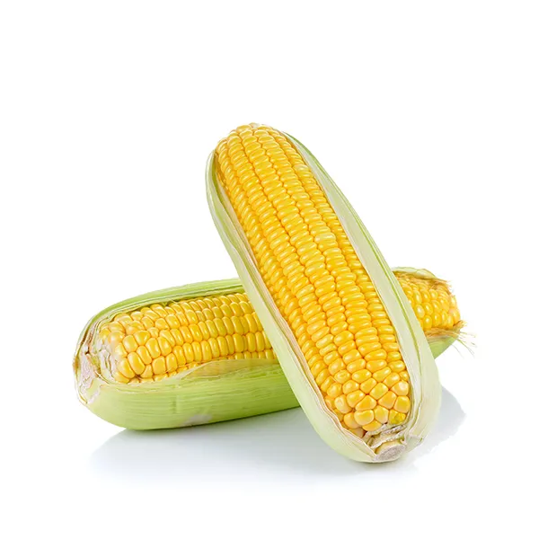 Corn