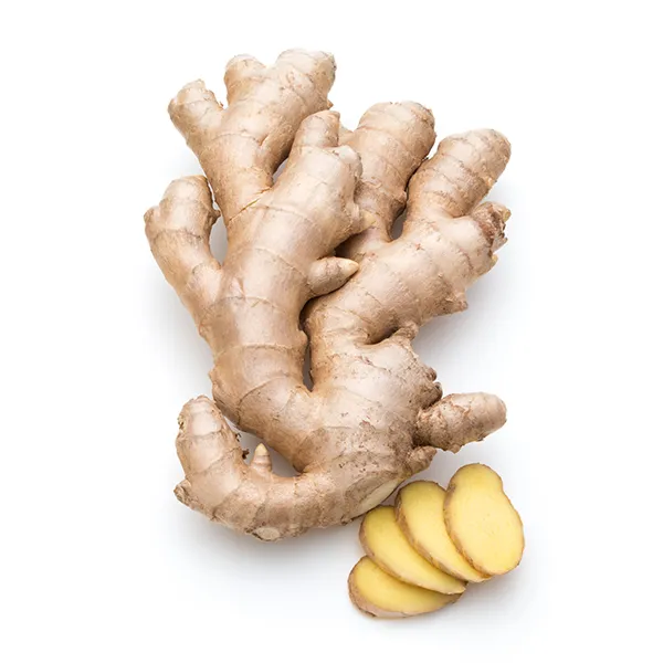 Ginger