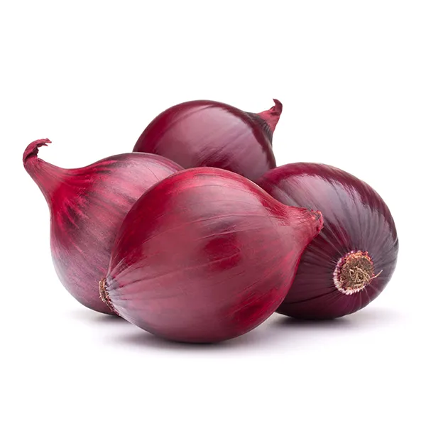 Onion