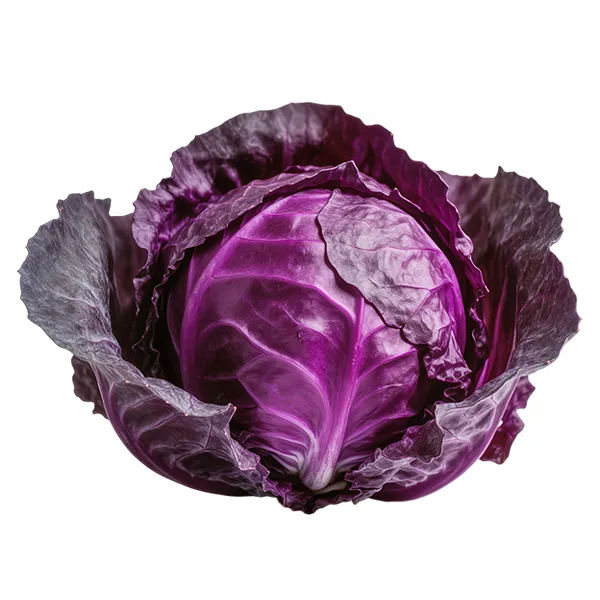 Red Cabbage