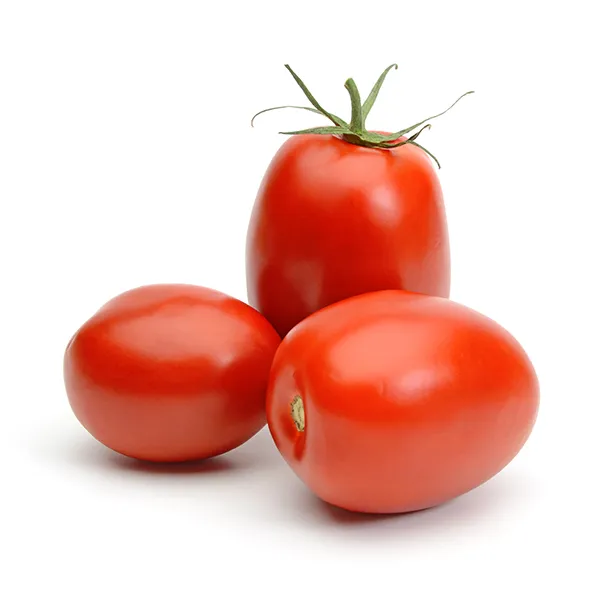 Tomato